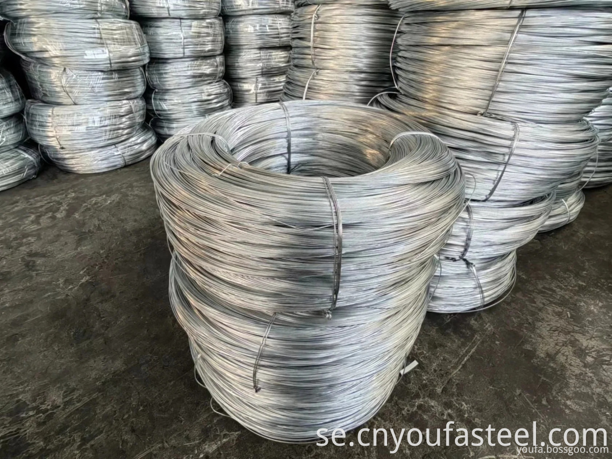 Galvanized Steel Wire